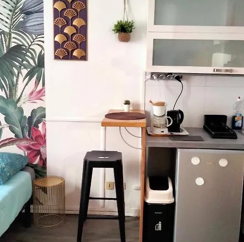 Apartment Beaublache Meubles Grenoble