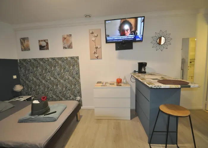 Beaublache Meubles Apartment Grenoble