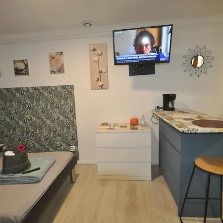 Beaublache Meubles Διαμέρισμα Γκρενόμπλ