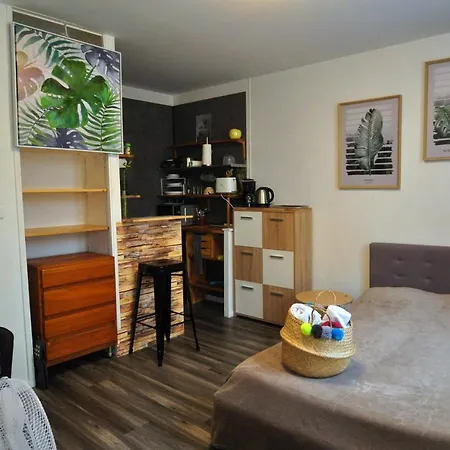 Beaublache Résidence Meublés * Grenoble